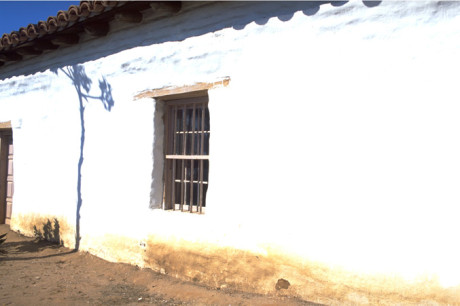 トピックス画像002